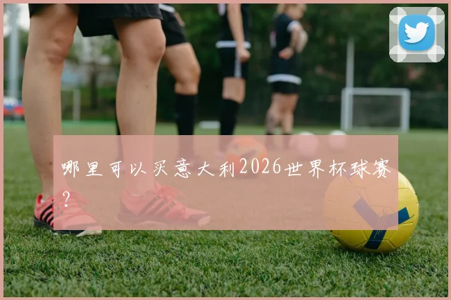 哪里可以买意大利2026世界杯球赛？